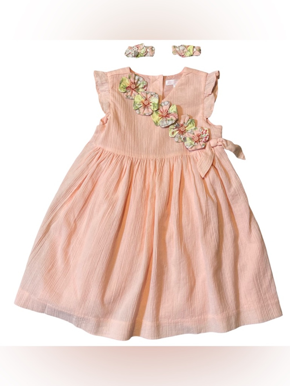NWT Janie and Jack Spring Blush Floral Appliqué Dress with Barrettes 18-24 m